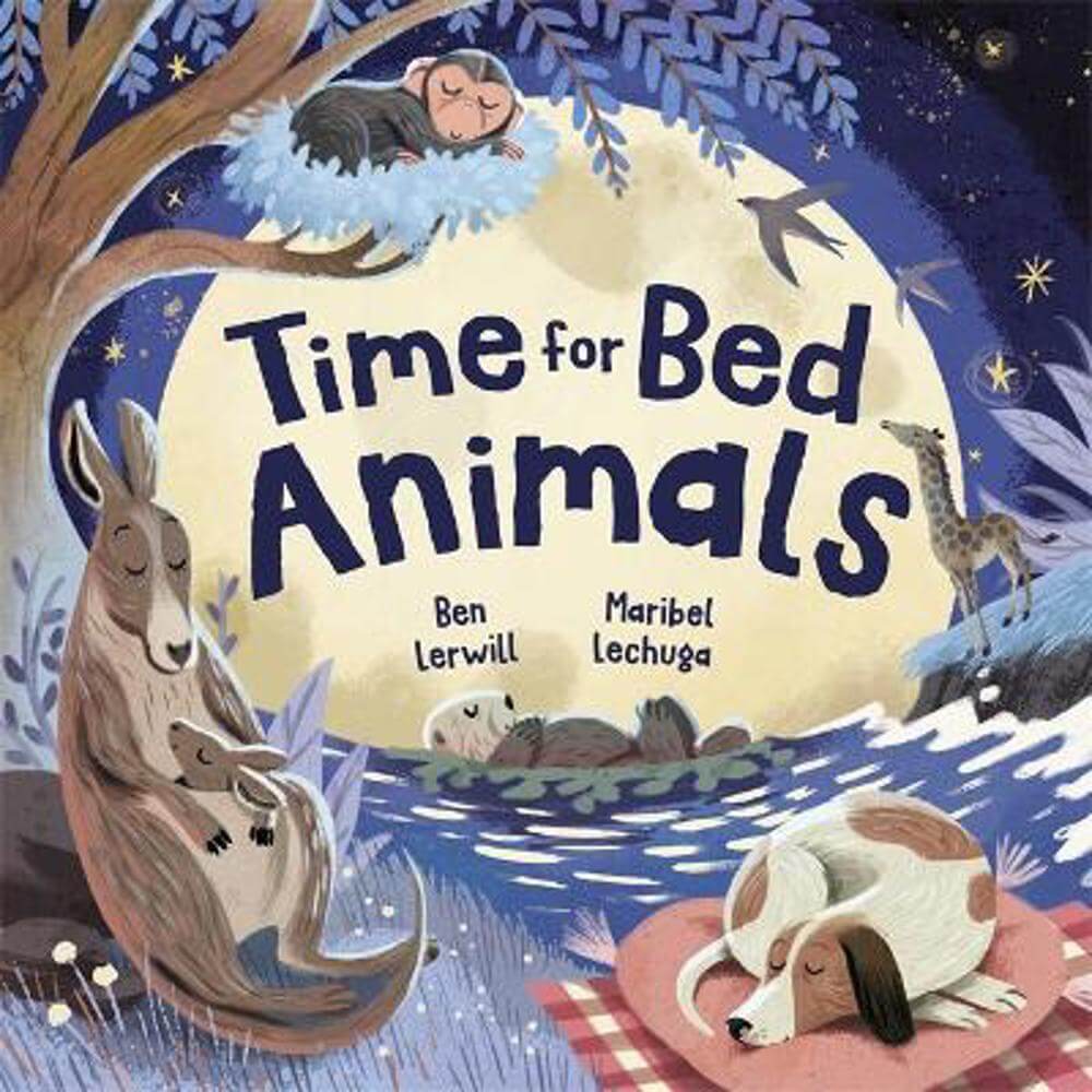 Time for Bed, Animals: Bedtime non-fiction full of sleepy animals and facts (Paperback) - Maribel Lechuga